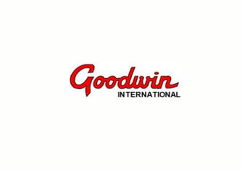 type of goodwin